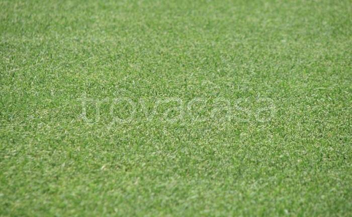 terreno agricolo in vendita a Certaldo