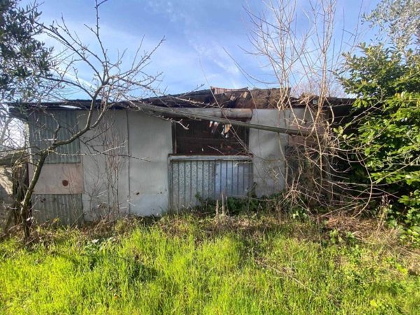 terreno agricolo in vendita a Certaldo
