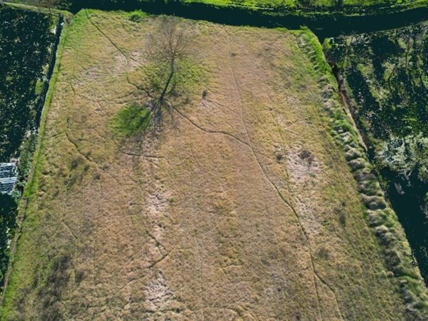 terreno agricolo in vendita a Certaldo