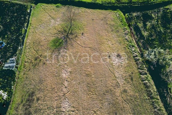 terreno agricolo in vendita a Certaldo