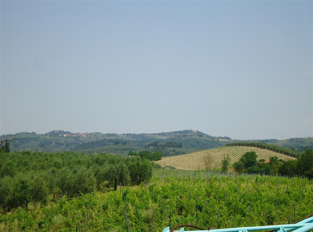 negozio in vendita a Certaldo