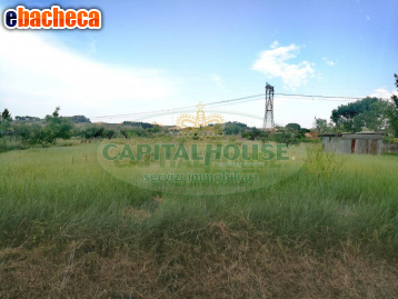 terreno agricolo in vendita a Certaldo