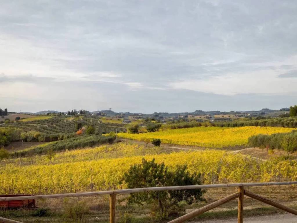 appartamento in vendita a Certaldo