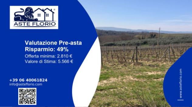 terreno agricolo in vendita a Certaldo