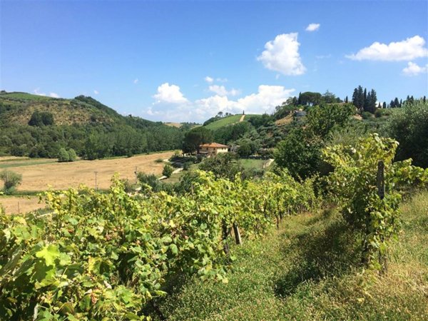 terreno agricolo in vendita a Certaldo