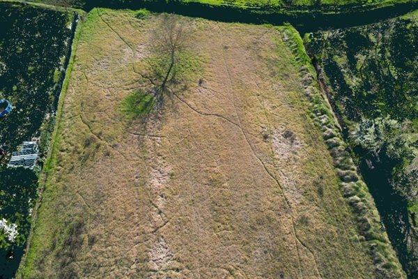 terreno agricolo in vendita a Certaldo