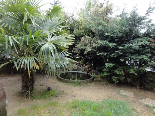 casa indipendente in vendita a Certaldo