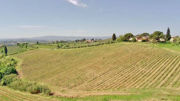 terreno agricolo in vendita a Certaldo