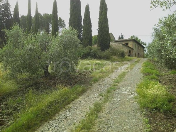 immagine annuncio 0 di 15