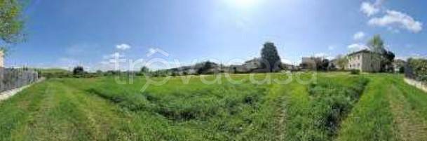 terreno agricolo in vendita a Certaldo