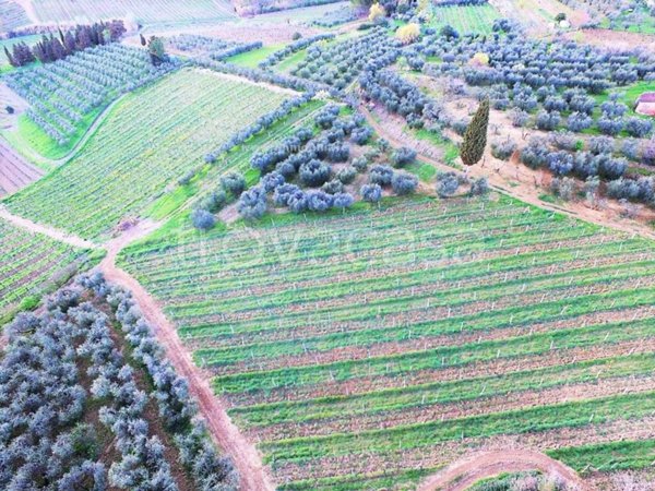 villa in vendita a Certaldo