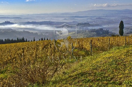 negozio in vendita a Certaldo