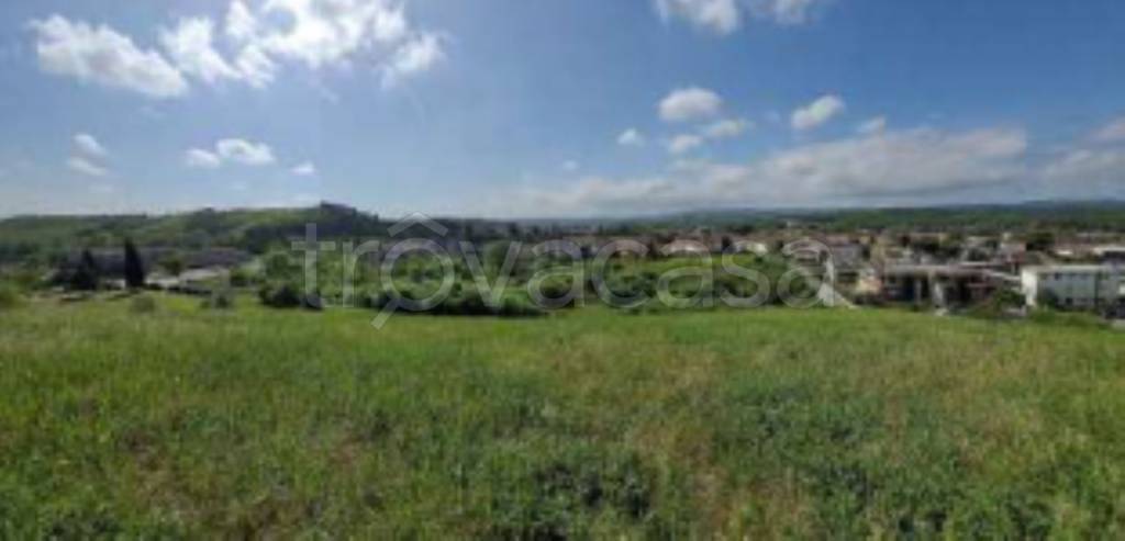 terreno agricolo in vendita a Certaldo