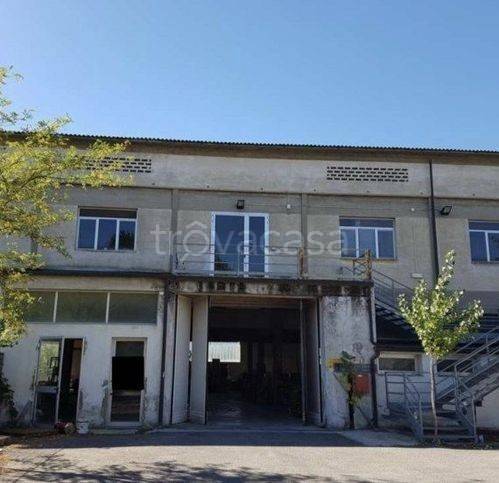 negozio in vendita a Certaldo