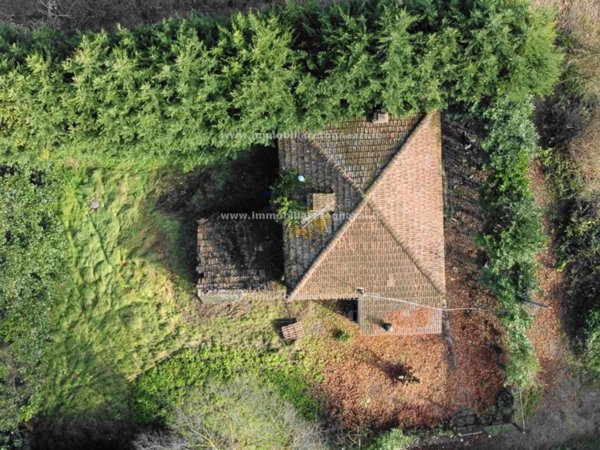 negozio in vendita a Certaldo