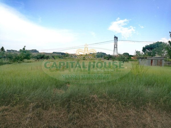 terreno agricolo in vendita a Certaldo