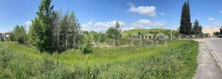 terreno agricolo in vendita a Certaldo