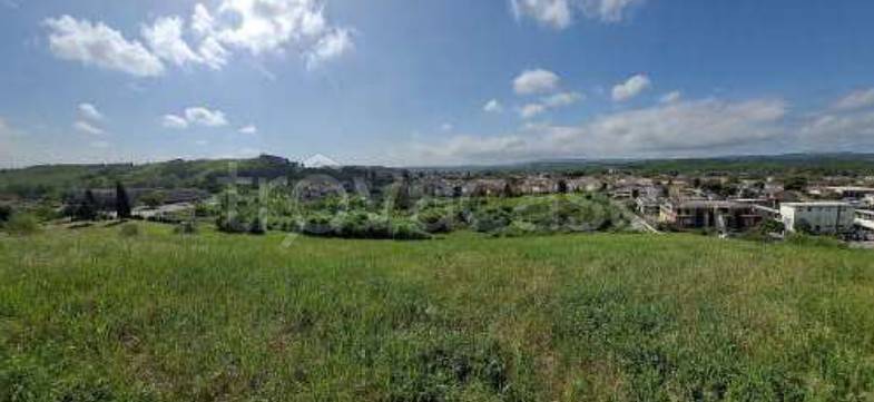 terreno agricolo in vendita a Certaldo