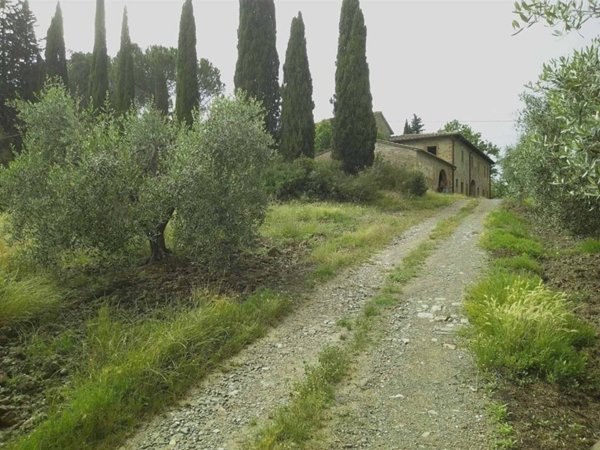 negozio in vendita a Certaldo