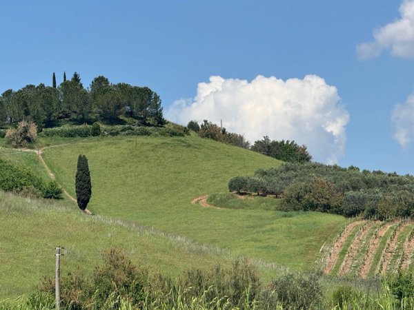 terreno agricolo in vendita a Certaldo