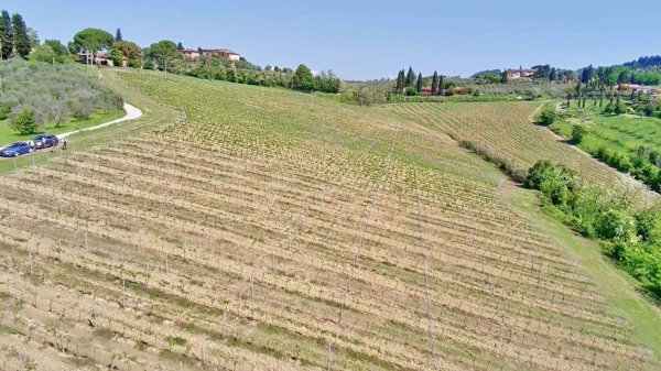 terreno agricolo in vendita a Certaldo