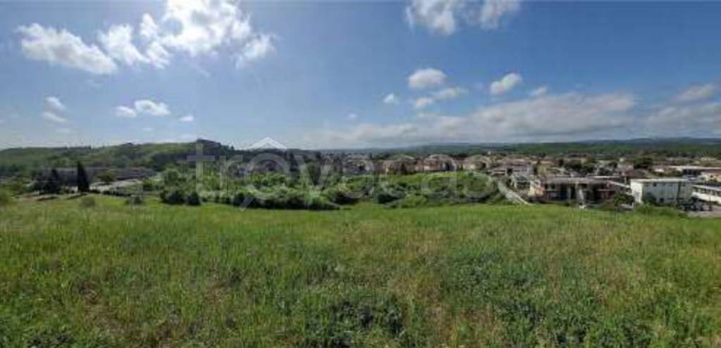 terreno agricolo in vendita a Certaldo
