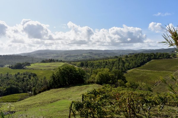 appartamento in vendita a Certaldo