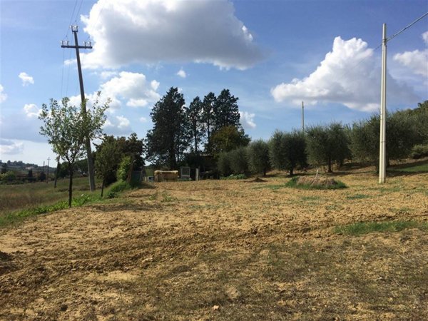 terreno agricolo in vendita a Certaldo in zona Sciano