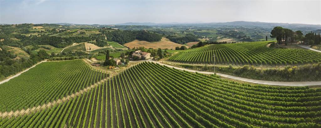 azienda agricola in vendita a Certaldo