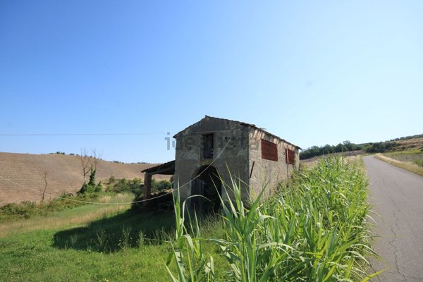 ufficio in vendita a Certaldo