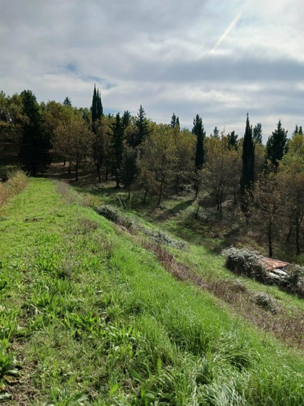 appartamento in vendita a Certaldo