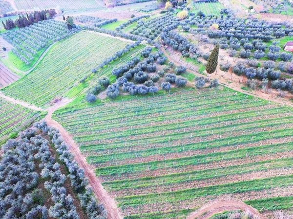 casa indipendente in vendita a Certaldo in zona Fiano