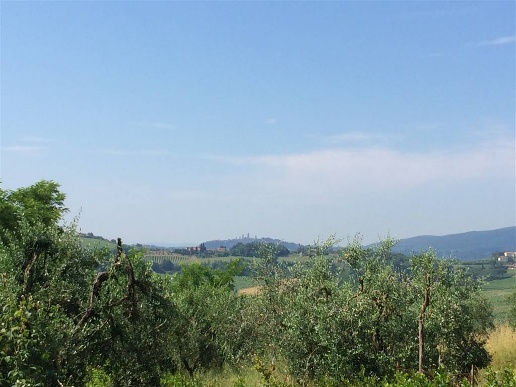 casale in vendita a Certaldo