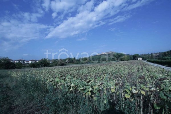 terreno in vendita a Certaldo