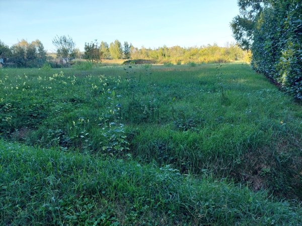 terreno agricolo in vendita a Certaldo