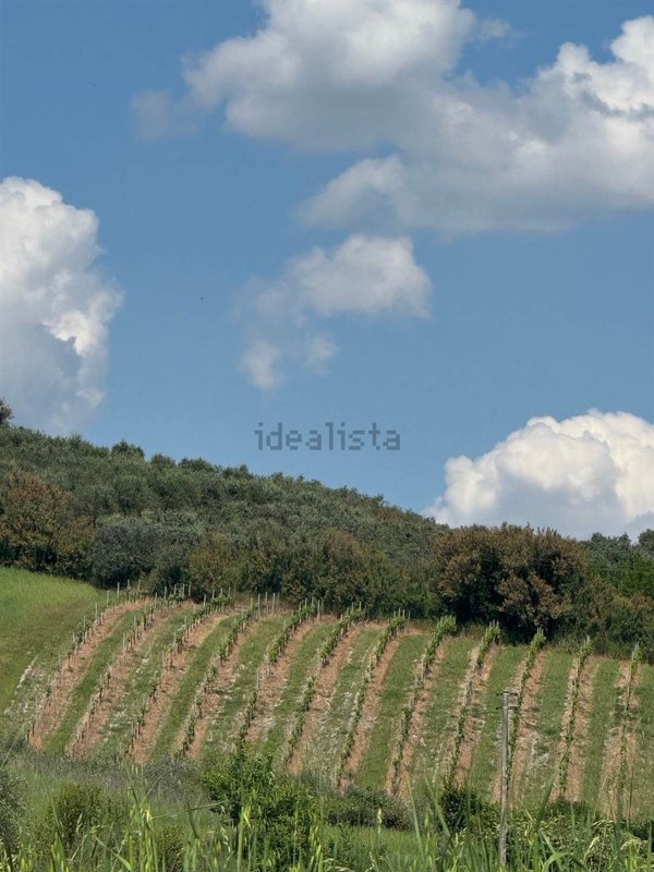 terreno in vendita a Certaldo