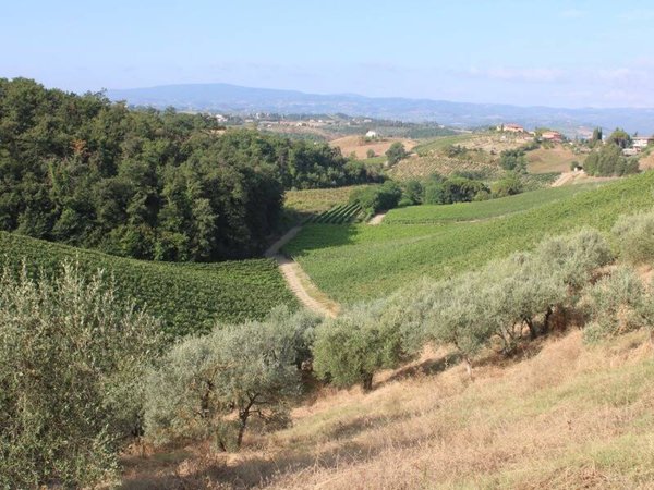 terreno in vendita a Certaldo
