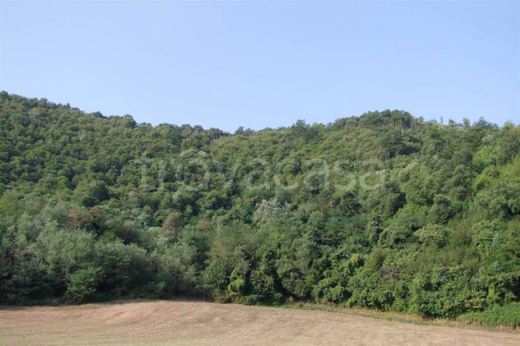 terreno agricolo in vendita a Dicomano