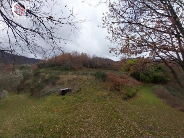 terreno agricolo in vendita a Dicomano
