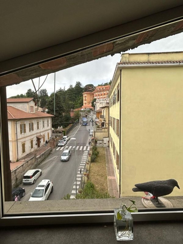 appartamento in vendita a Dicomano