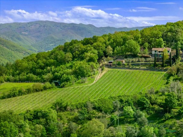 casa indipendente in vendita a Dicomano