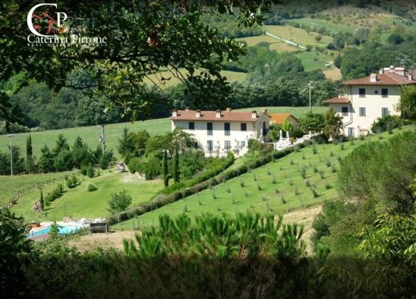 azienda agricola in vendita a Dicomano