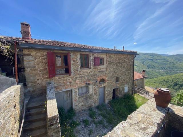 casa indipendente in vendita a Dicomano