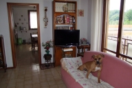 appartamento in vendita a Dicomano