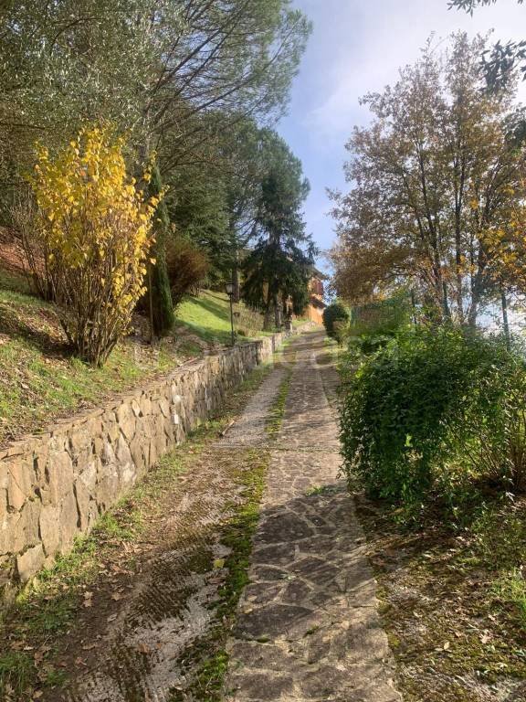 casa indipendente in vendita a Dicomano