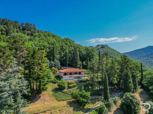 casa indipendente in vendita a Dicomano