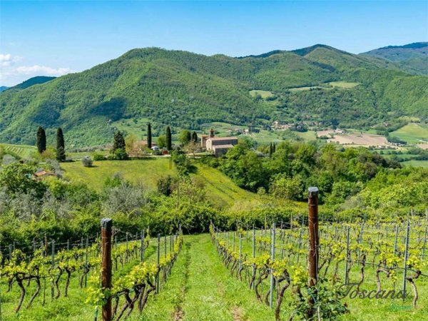 casa indipendente in vendita a Dicomano