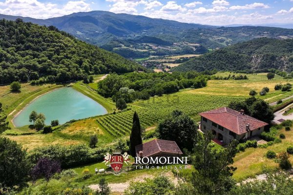 casa indipendente in vendita a Dicomano