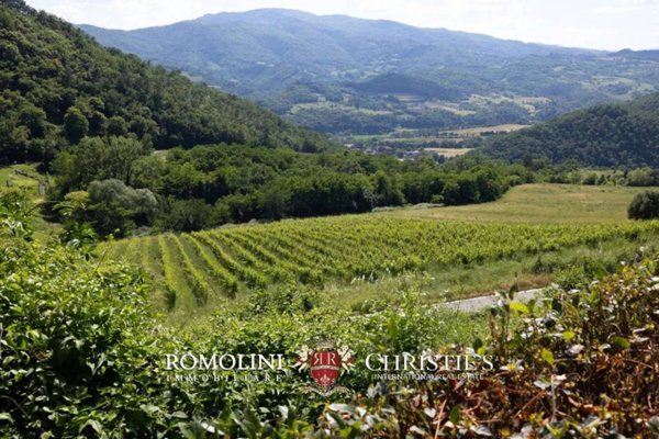 casa indipendente in vendita a Dicomano