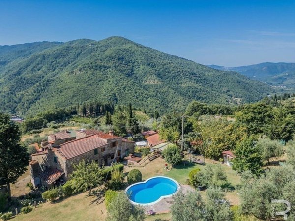 casa indipendente in vendita a Dicomano in zona Contea